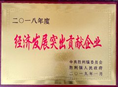 2018年度經(jīng)濟(jì)發(fā)展突出貢獻(xiàn)企業(yè)